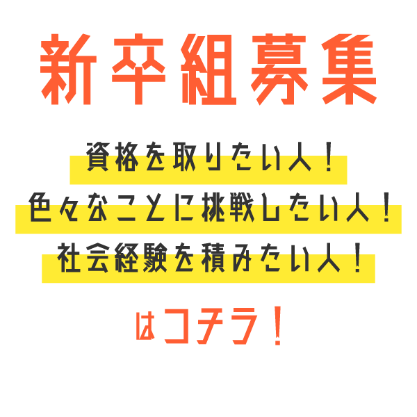 新卒組募集