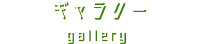 ギャラリー