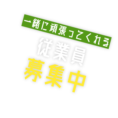 一緒に働いてくれる従業員募集中